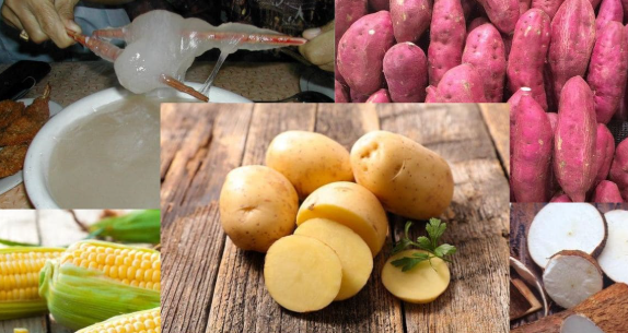 makanan penganti beras